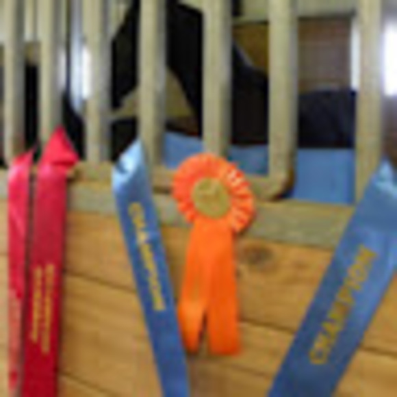 Meet your Posher, J - Picture 1 of 1